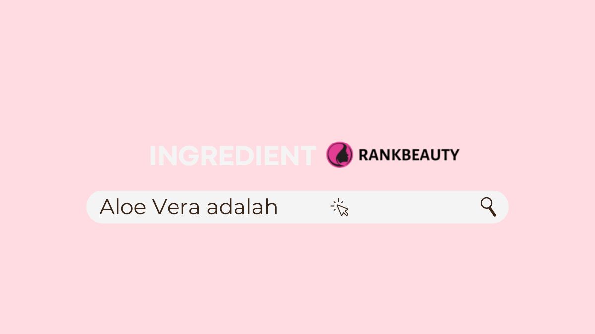 Pengertian Aloe Vera