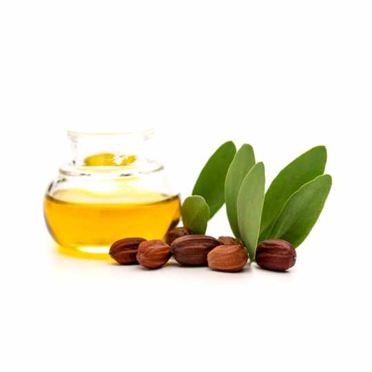 Gambar Jojoba Oil